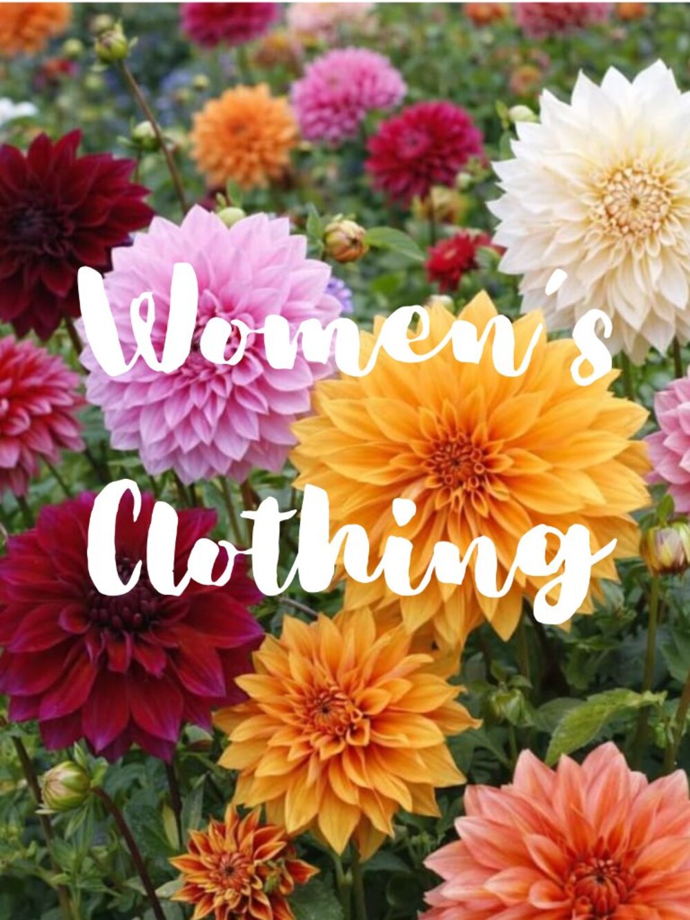 Woman's Clothes